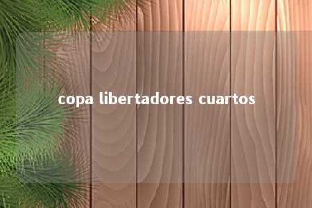 copa libertadores cuartos 