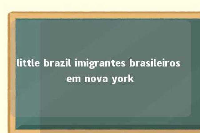 little brazil imigrantes brasileiros em nova york 