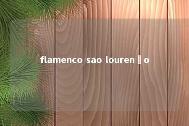 flamenco sao lourenço 