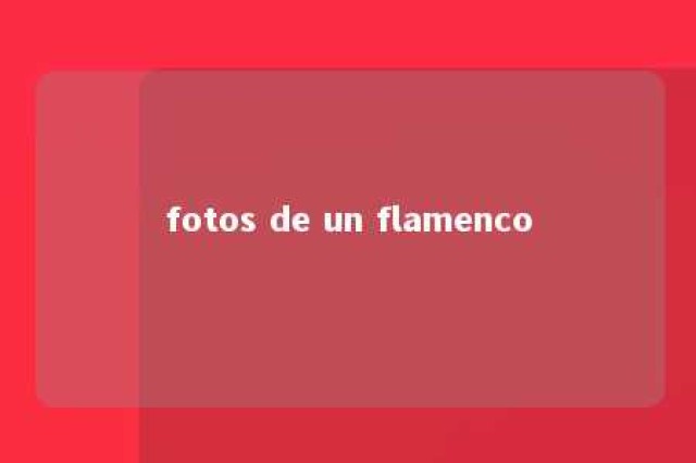 fotos de un flamenco 