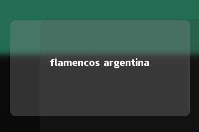 flamencos argentina 