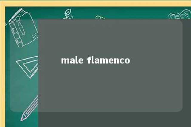 male flamenco 