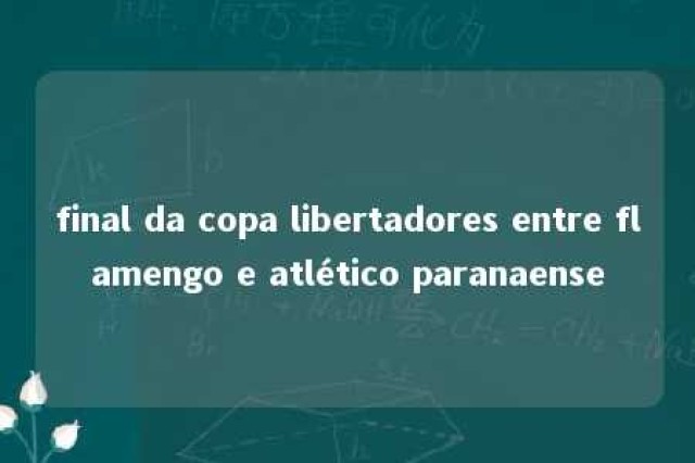 final da copa libertadores entre flamengo e atlético paranaense 