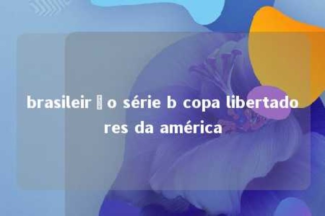 brasileirão série b copa libertadores da américa 