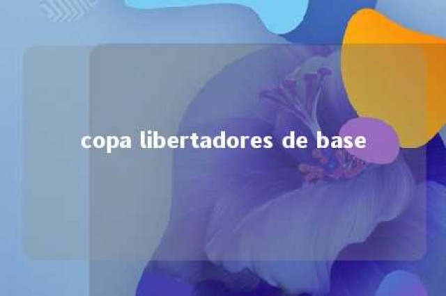 copa libertadores de base 