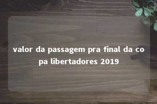 valor da passagem pra final da copa libertadores 2019 