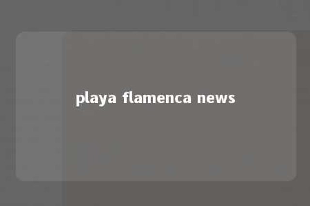 playa flamenca news 