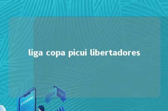 liga copa picui libertadores 