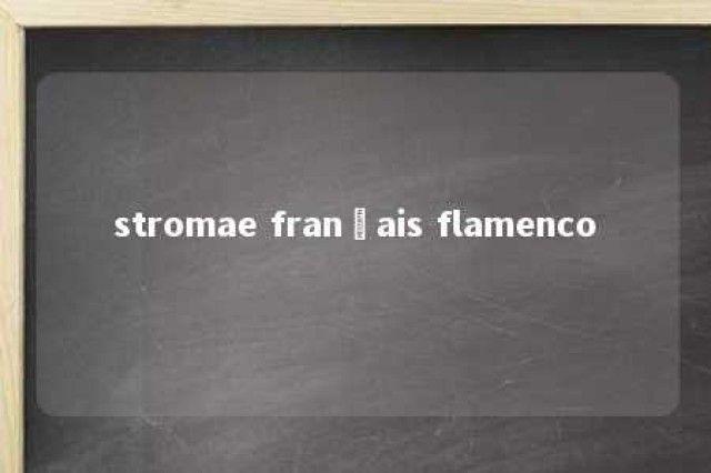 stromae français flamenco 