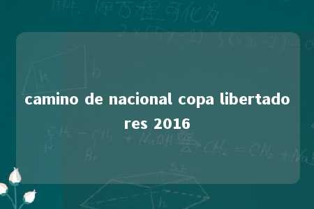 camino de nacional copa libertadores 2016