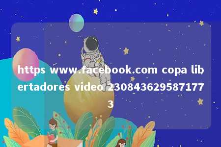 https www.facebook.com copa libertadores video 2308436295871773