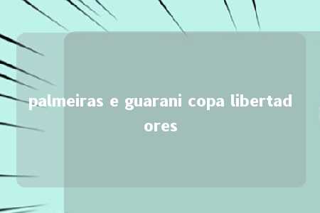 palmeiras e guarani copa libertadores