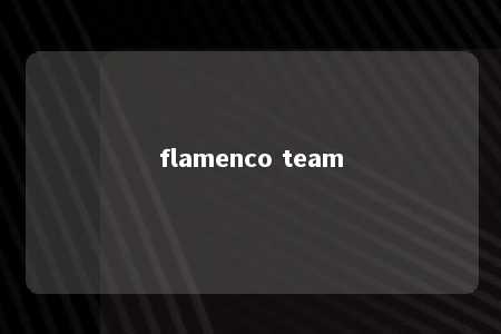 flamenco team